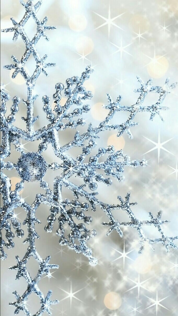 love winter