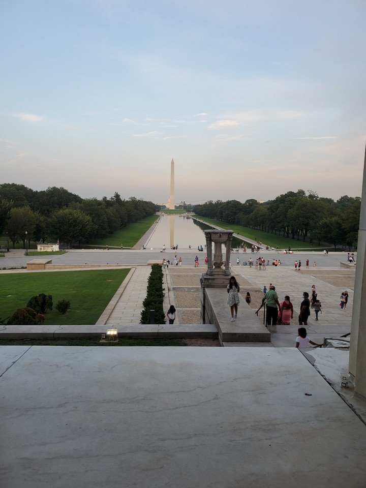 The view