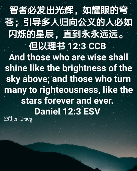 those who are wise shall shine