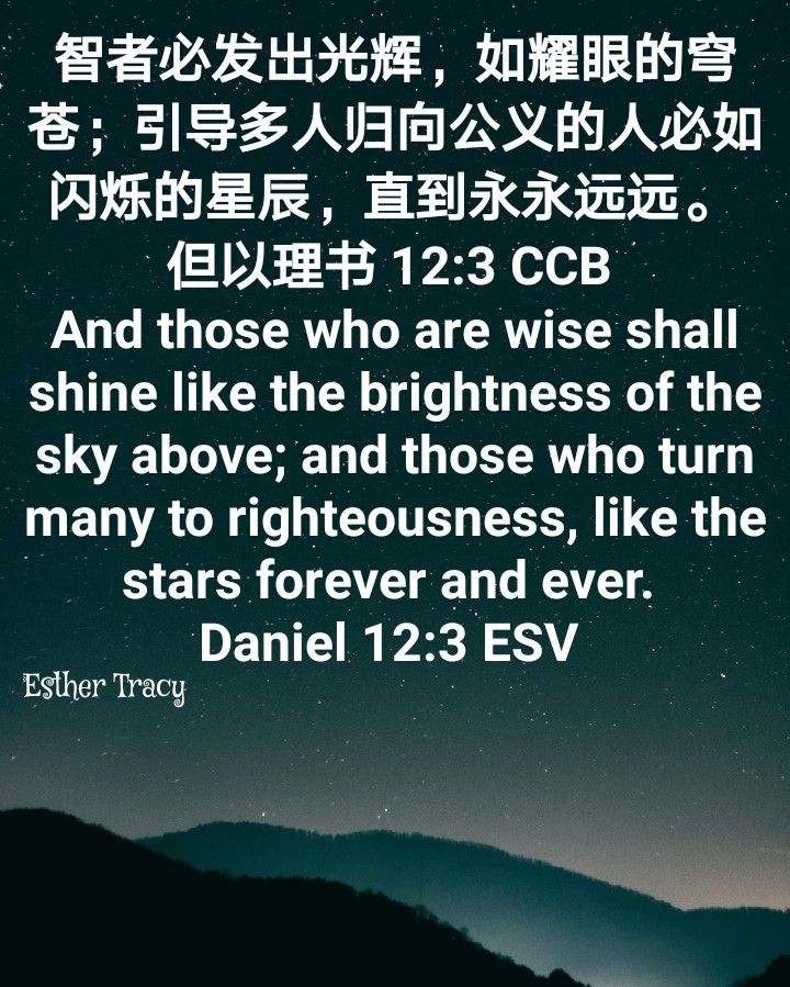 those who are wise shall shine