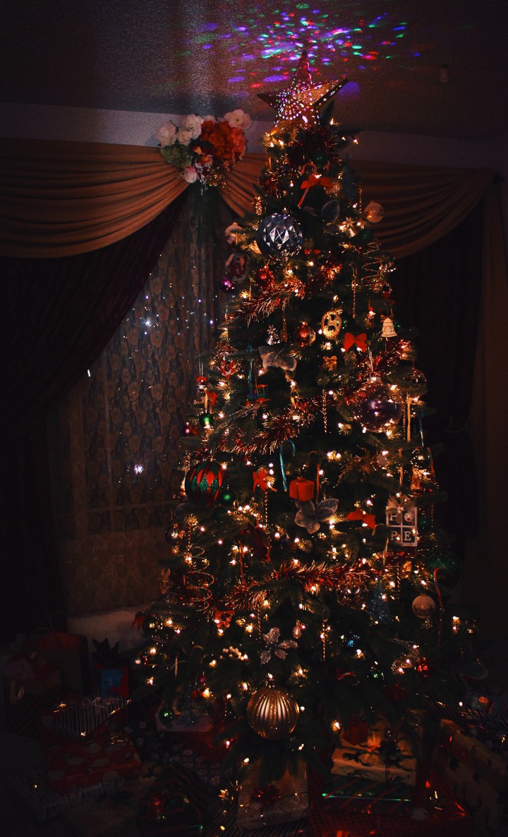 lighted family Christmas tree