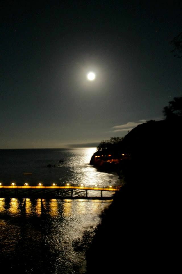 night