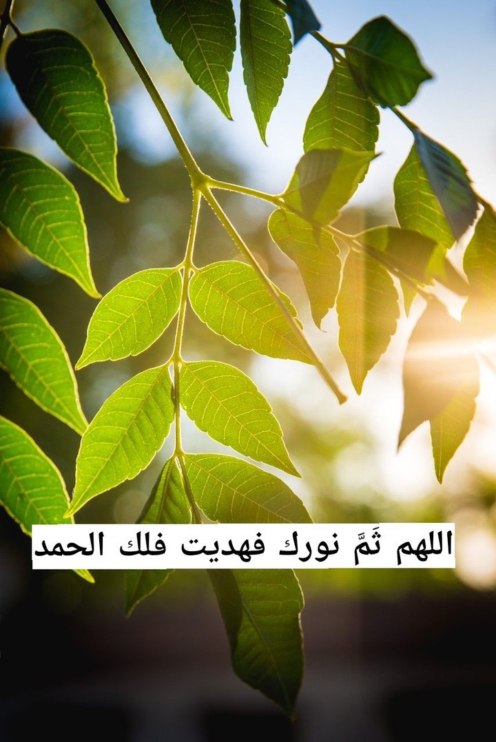 morning
