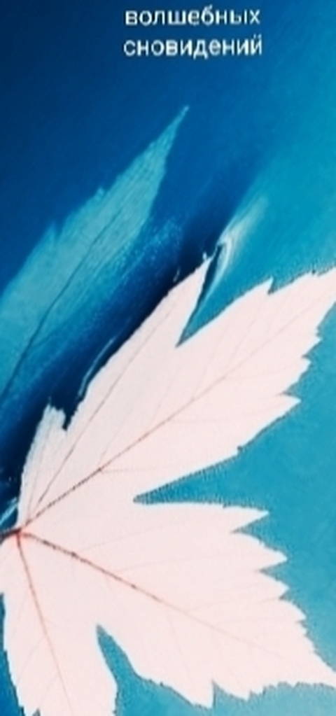 publication, graphics wallpapers