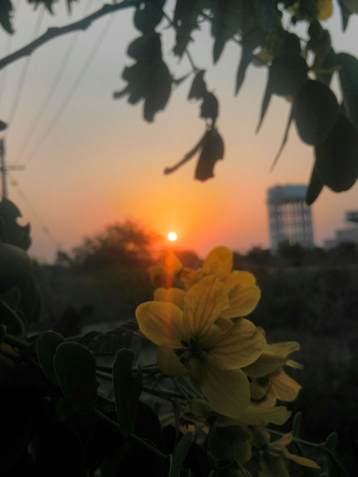 flower prayers