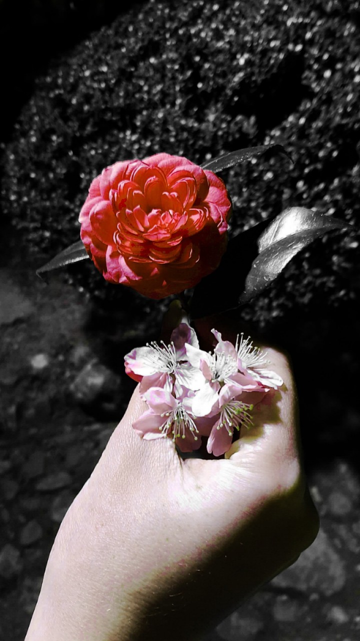 flor