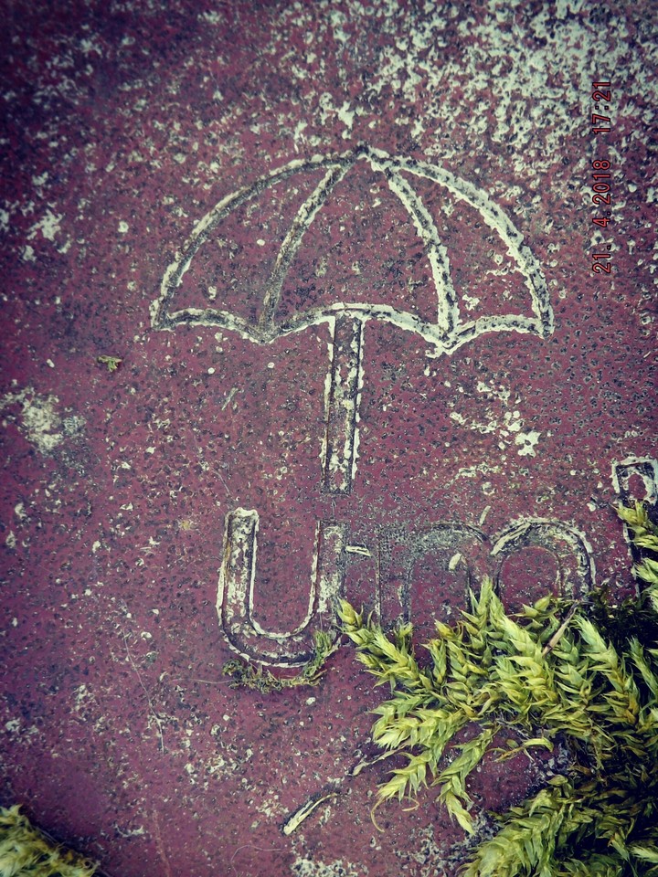 A little umbrella