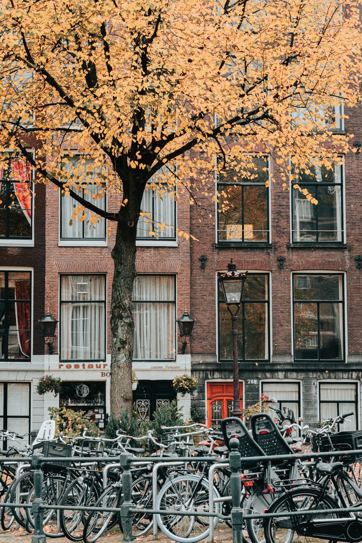 Bicycle park in fron of cool buildings