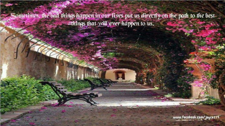 Quotes