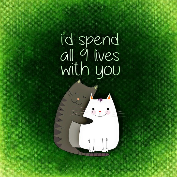 Cute Cats Love Typography