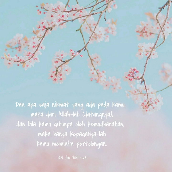 Ayat Of The Day