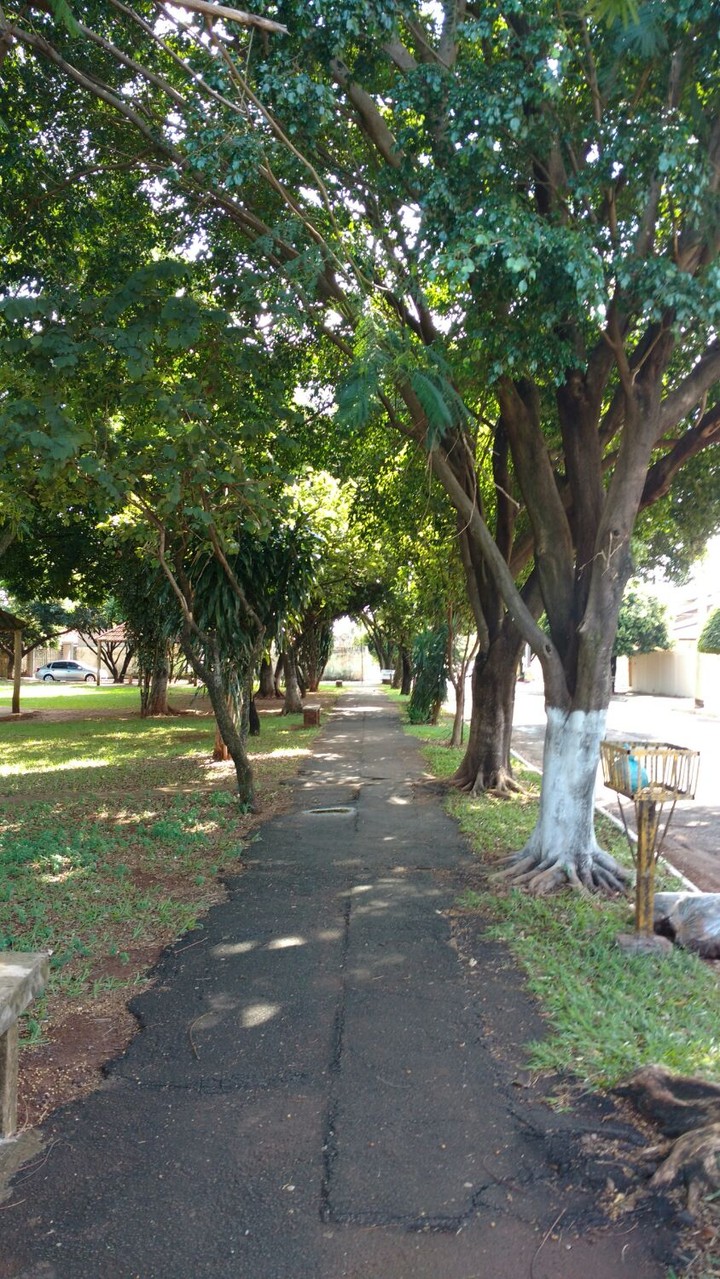 Trees