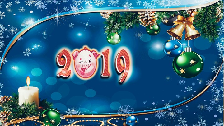 2019 The Year Of Pig