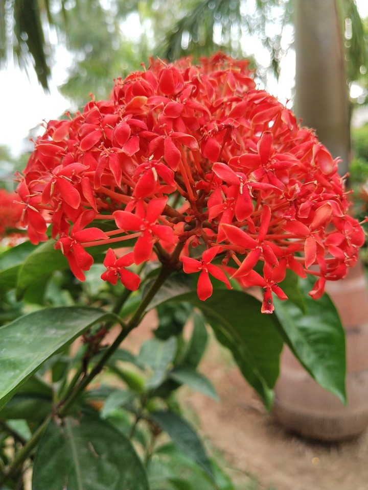 Around nature