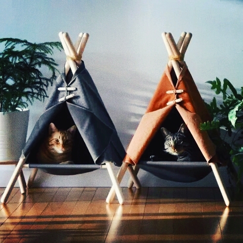 КОТИИИ