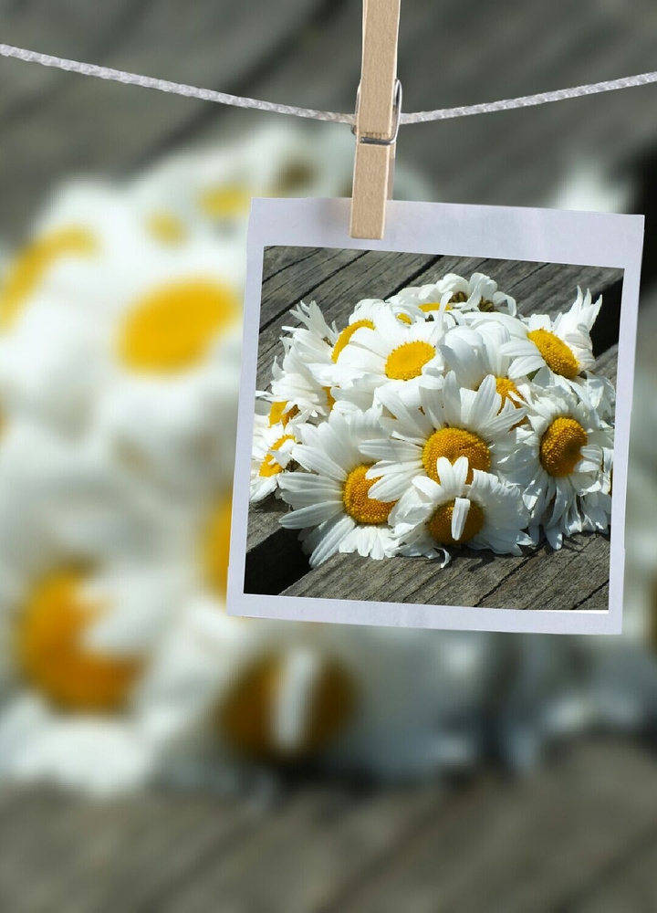 Foto von Foto