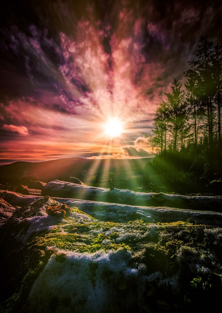 shines