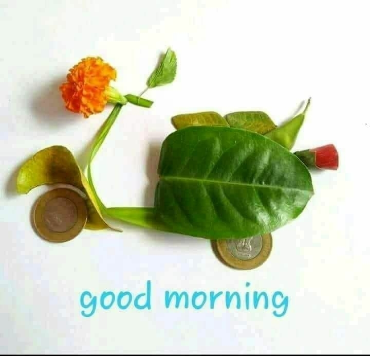 good morning