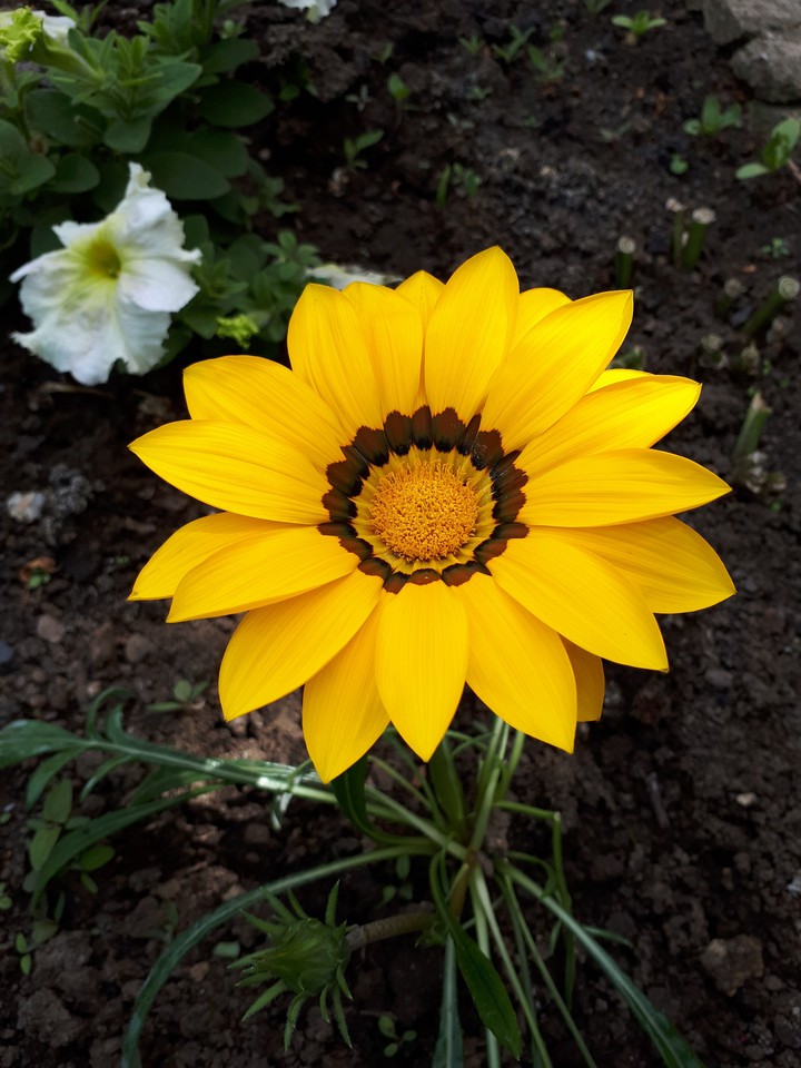 A piece of summer