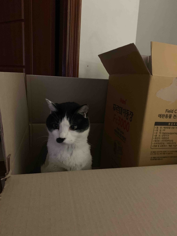 box