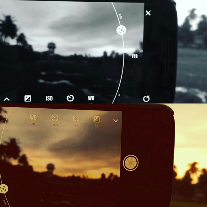 Bose's Lomography