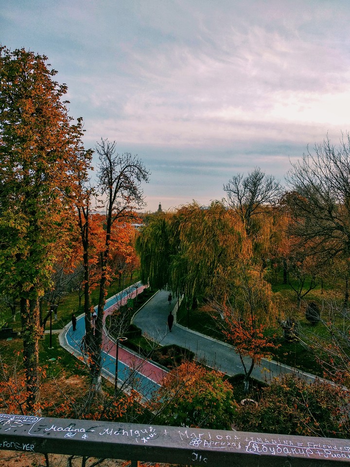 Eco park