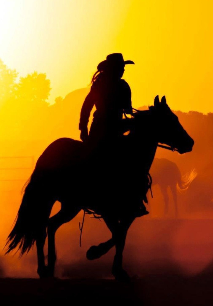 horse picture