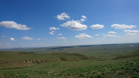 Perfect view