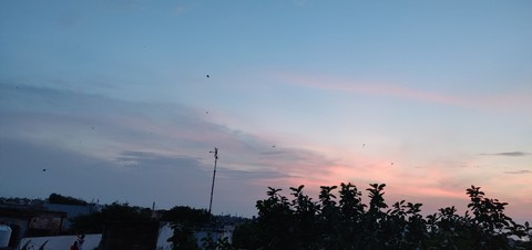 15 Aug sky full of kites