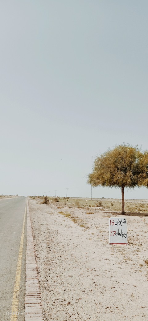 CHOLISTAN desert