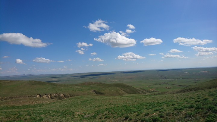 Perfect view