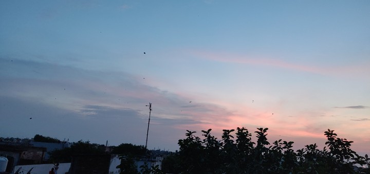 15 Aug sky full of kites