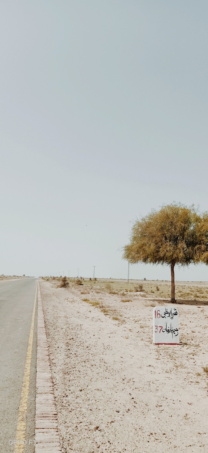 CHOLISTAN desert