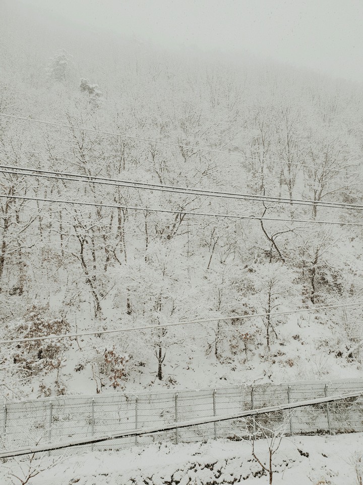 2018. 겨울