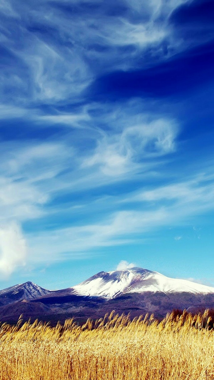 Beautiful World