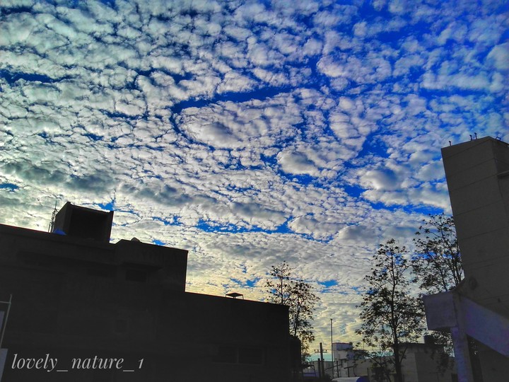 Nature Photography