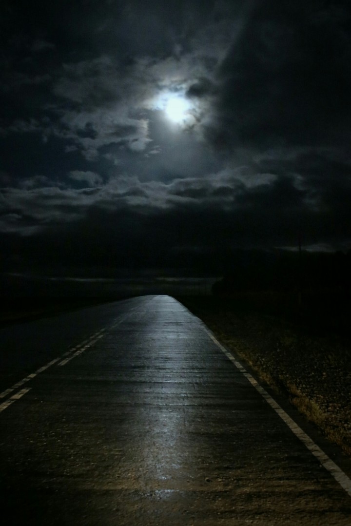 Moonlight road