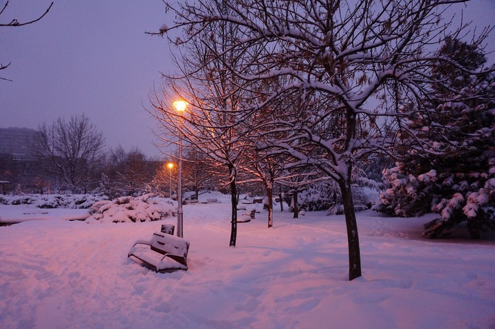 Walk in the Park