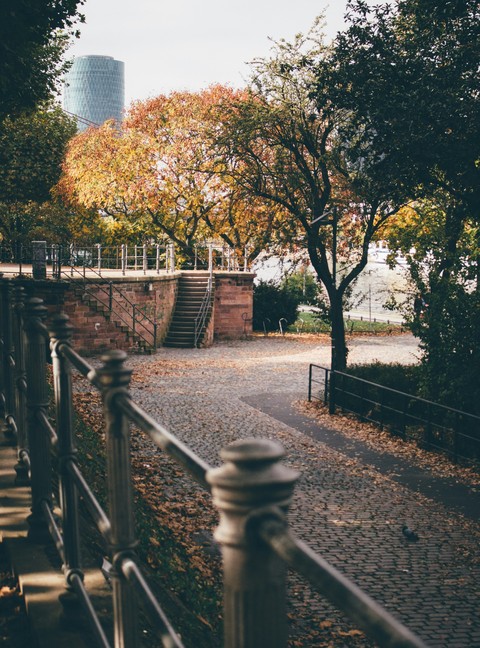 тапети handrail, twig