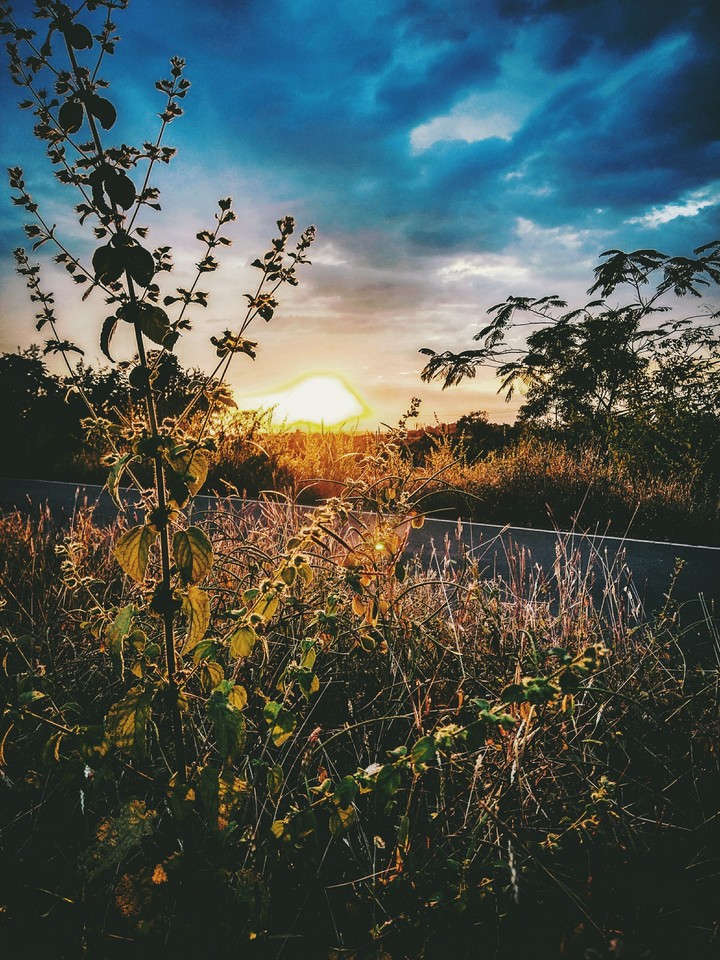 sunset