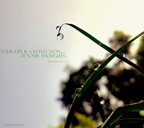 Amazing nature