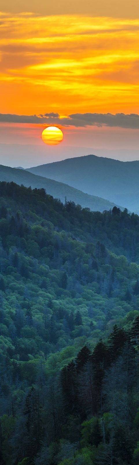 Sun Rising