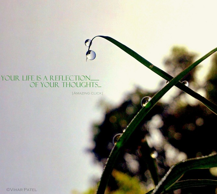 Amazing nature