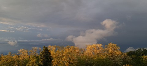 Sky