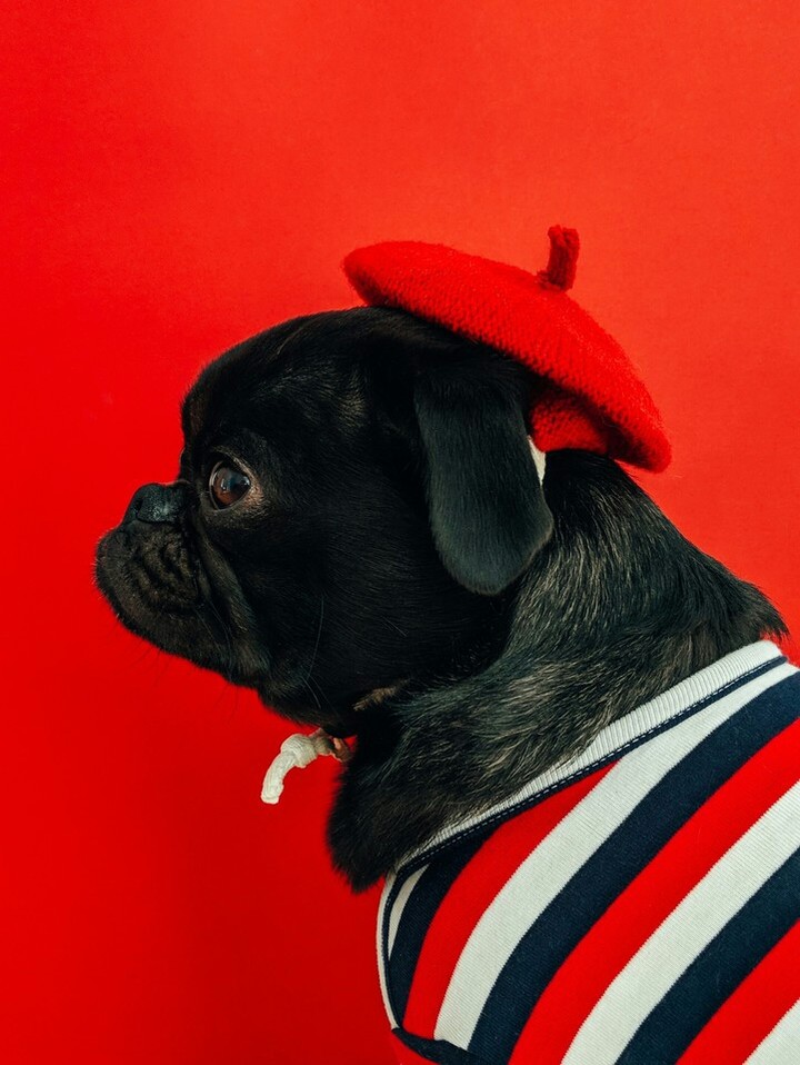Merci