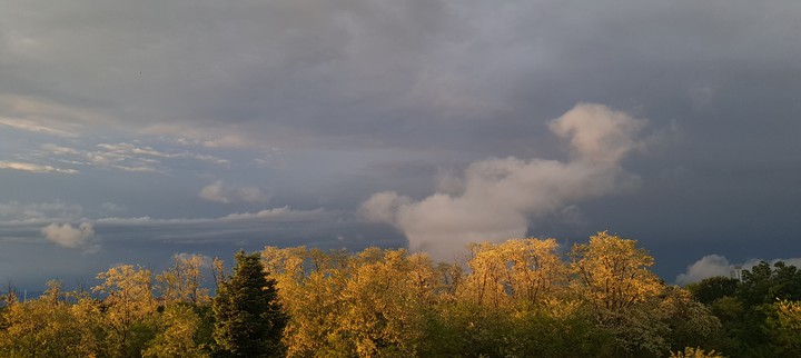 Sky