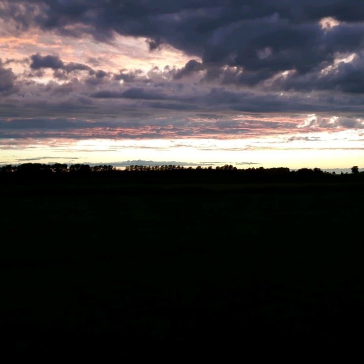 Sky Purple