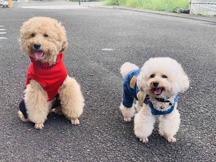 Lucky & Money