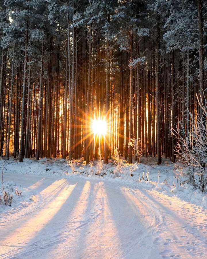 snow and sun