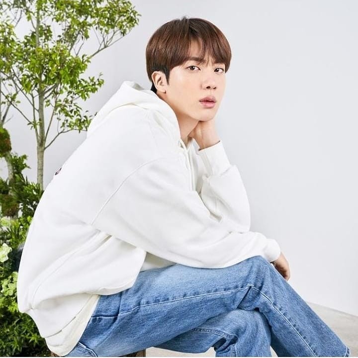 방탄의 진